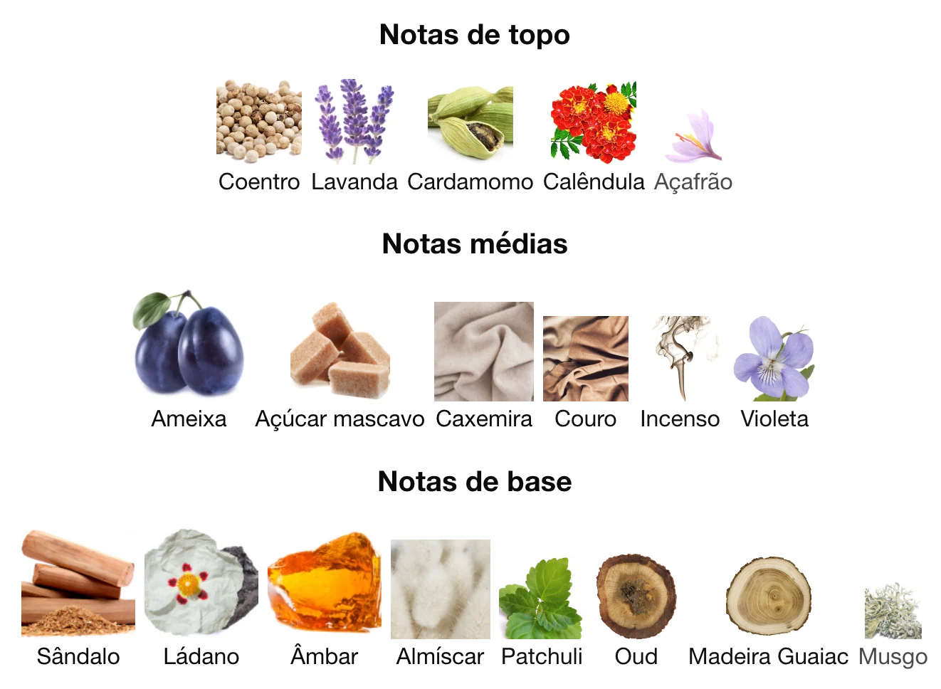 Principais acordes olfativos do Nabeel Bankam mostrando sândalo, lavanda, cardamomo e ameixa.